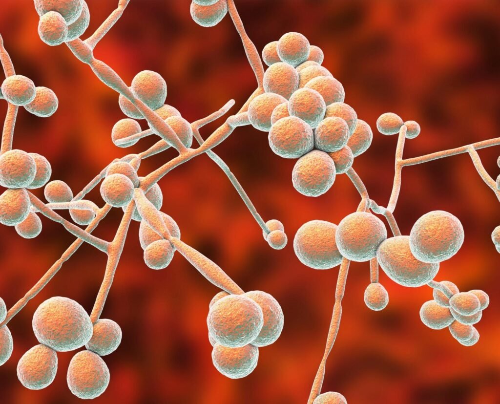 telehealth for yeast infection